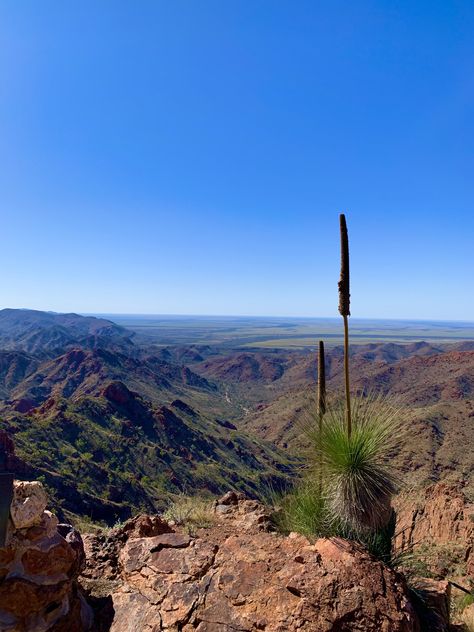 Arkaroola Wilderness Sanctuary, South Australia Remote Island, South Australia, Australia Travel, Camping, Australia, Travel