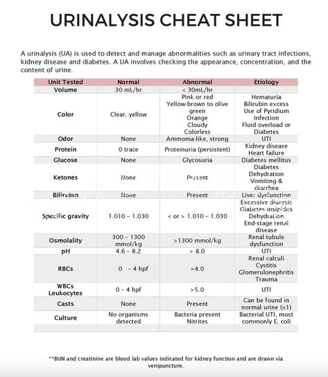 Bells Palsy, College Advice, Male Nurse, Nursing School Studying, Medical School Inspiration, Nursing Notes, Nursing Education, School Inspiration, Urinary Tract