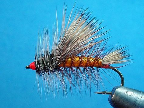 Fly Tying Bench, Fly Tying Desk, Fly Fishing Flies Pattern, Neat Tricks, Fly Tying Materials, Fly Fishing Flies, Fly Fishing Flies Trout, Fly Box, Fly Tying Patterns