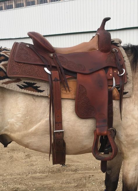 Horses Saddles, Western Saddles, Trail Saddle, Foto Cowgirl, Western Horse Saddles, Roping Saddles, Equestrian Helmets, Western Tack, Barrel Racing Horses