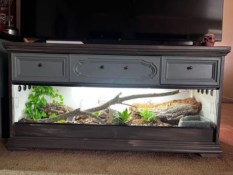 Custom built snake terrarium and TV stand from an old, refurbished dresser. Two weeks of hard work has finally paid off! Terrarium Tv Stand, Reptile Cabinet Diy, Dresser Reptile Enclosure, Diy Snake Enclosure Dresser, Reptile Shelving, Dresser Terrarium, Sand Boa Enclosure, Lizard Enclosure, Diy Bearded Dragon Enclosure