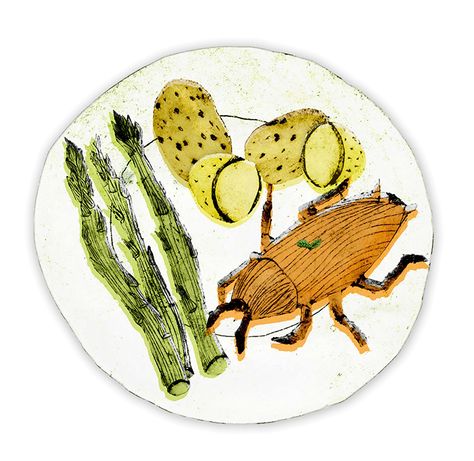 Edible Insects, Food Paper, Food Innovation, Vital Proteins, Food Security, Cover Art Design, Insect Art, Sustainable Food, Brand Experience