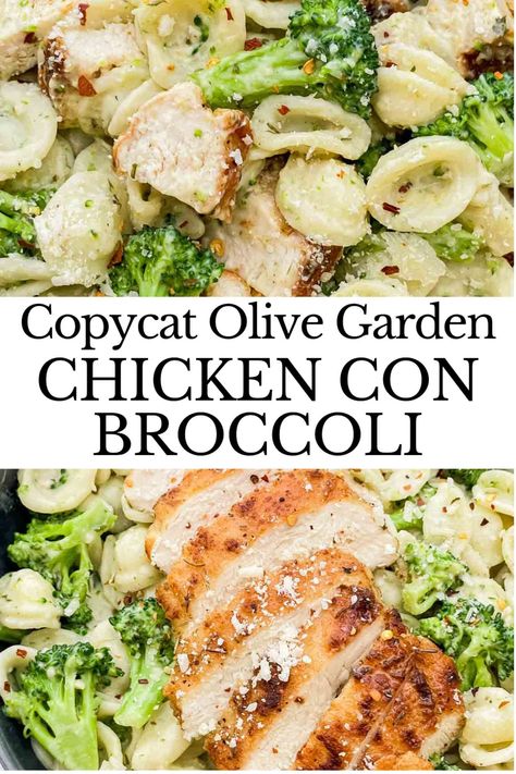 Olive Garden Chicken Con Broccoli Recipe, Olive Garden Dressing Chicken, Chicken Con Broccoli, Olive Garden Chicken Alfredo Recipe, Chicken Broccoli Pasta Recipes, Copycat Olive Garden Chicken, Garlic Pasta Recipe, Olive Garden Chicken, Creamy Garlic Pasta