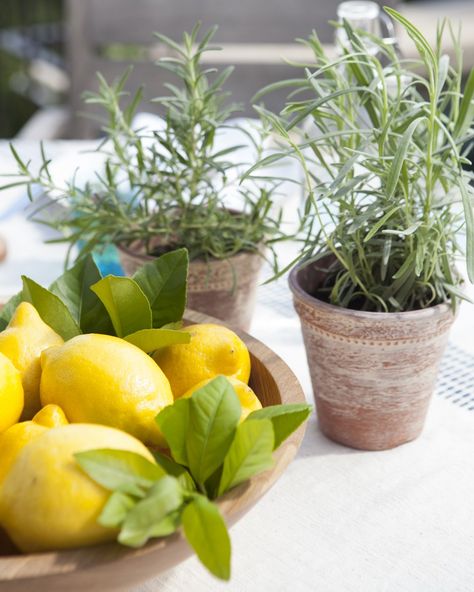 Entertaining expert Camille Styles shows us how to think beyond the standard bouquet | archdigest.com Herbs Decoration Ideas, Italian Centerpieces Table Decorations Tuscan Style, Italian Flower Arrangements, Italian Wedding Centerpieces, Lemon Centerpiece Ideas, Centerpieces Without Flowers, Herb Centerpieces, Lemon Table Decor, Italian Centerpieces