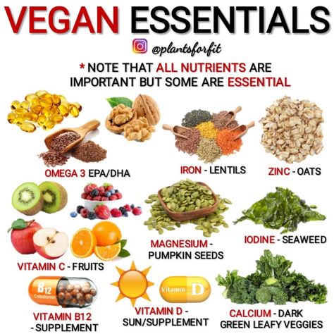 Vegan Recipes Whole Food, Vegan Aesthetic, Vegan Food List, Plant Based Diet Meal Plan, Vegan Essentials, Vegan Diet Plan, Vegan Pantry, Vegetarian Life, Plant Based Diet Recipes