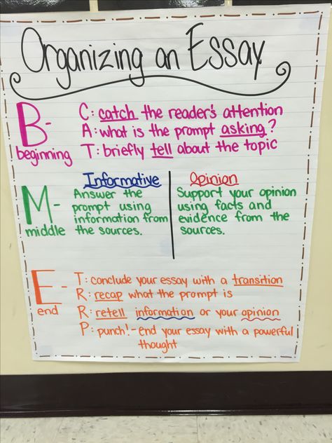 Organizing an essay anchor chart! FSA styled writing for 4th grade. Law School Personal Statement, Organize Ideas, 5th Grade Writing, Essay Structure, Informative Essay, 3rd Grade Writing, Education Tips, Homeschool Writing, Essay Format