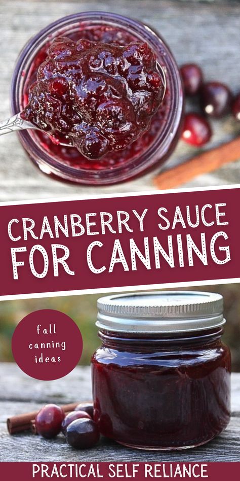 Canning Cranberry Sauce, Canning Cranberry, Thanksgiving Cranberry Sauce, Canning Fruit Recipes, Fresh Cranberry Recipes, Thanksgiving Cranberry, Water Bath Canning Recipes, Best Cranberry Sauce, Canned Cranberries