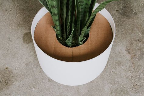 HOW TO MAKE A FAUX PLANT LOOK REAL | Nadine Stay Fake Flowers Decor, Fake Potted Plants, Faux Cactus, Fake Plants Decor, Plant Hacks, Plant Basket, Large Planters, House Plants Indoor, Real Plants