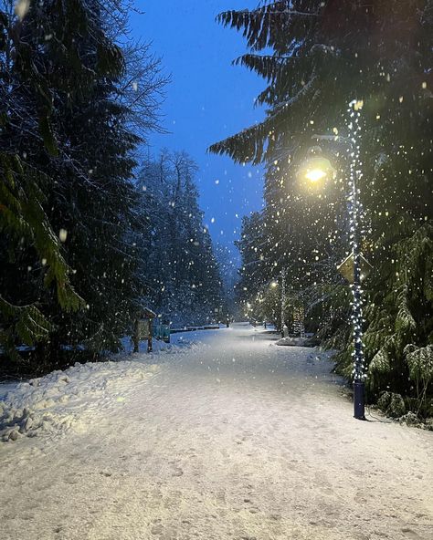 Quiet winter night in Whistler, BC Whistler Aesthetic, Snowy Path, Whistler Bc, Canada Destinations, Travel Diaries, Winter Beauty, Best Seasons, Futuristic Technology, Winter Night