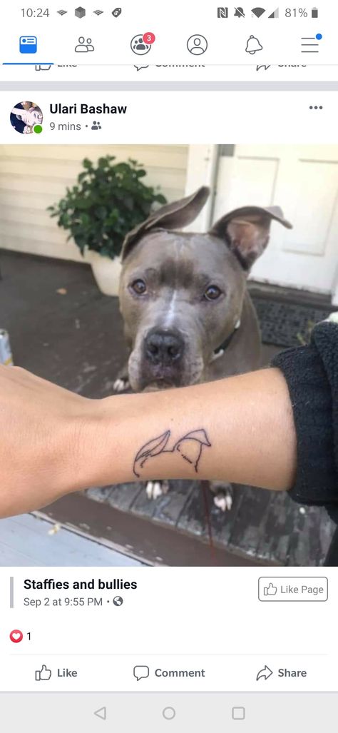 Pitbull Ear Tattoo, Pitbull Ear Outline Tattoo, Ollie Tattoo, Dog Ear Outline Tattoo, Pitbull Tattoos, Ear Outline Tattoo, Dog Outline Tattoo, Dog Ear Outline, Ear Outline