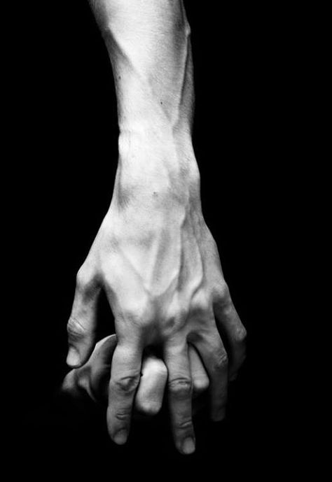 hands Hand Photography, Gabriel Garcia Marquez, Hand Reference, Hands Holding, Male Hands, Foto Art, Hold My Hand, Anatomy Reference, White Photo