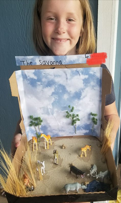 Savanna Diorama  African Savanna animal habitat Savanna Animals Crafts, Animal Habitat Diorama, Animal Habitat Project, Savanna Biome Project, Savannah Habitat Projects For Kids, Cheetah Habitat Project For Kids, Africa Habitat Project, Savannah Biome Project, Savanna Diorama Project