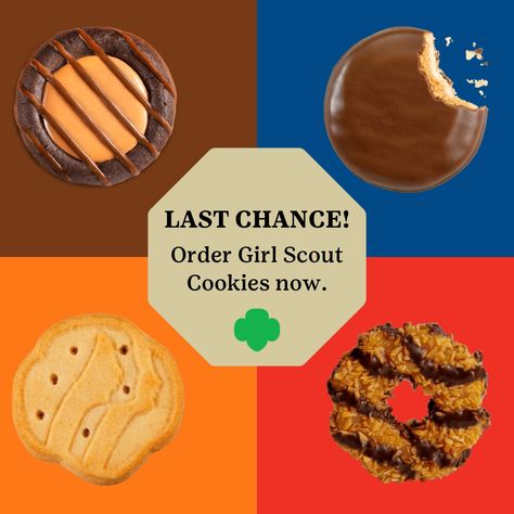 Girl Scout Cookie Pairings, Original Girl Scout Cookie Recipe, Girl Scout Cookies Funny Humor, Buy Girl Scout Cookies, Girl Scout Brownies Meetings, Gs Cookies, Girl Scout Ideas, Scout Ideas, Girl Scout Cookies