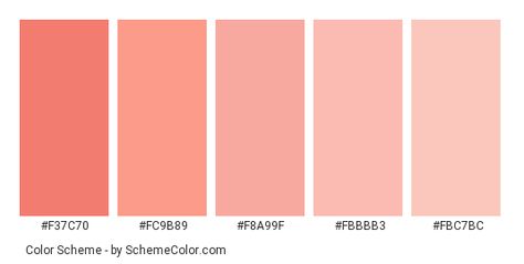 Coral Color Scheme, Coral Color Schemes, Light Coral Color, Coral Colour Palette, Color Durazno, Wall Color Combination, Dark Color Palette, Pink Images, Pink Color Schemes