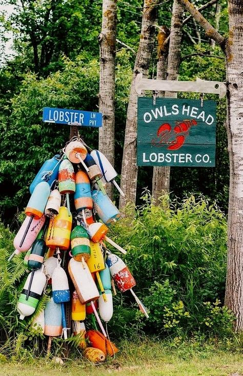 Maine Aesthetic, Summer In Maine, Cider House Rules, Camden Maine, John Irving, East Coast Summer, Vacay Ideas, Cider House, New England States