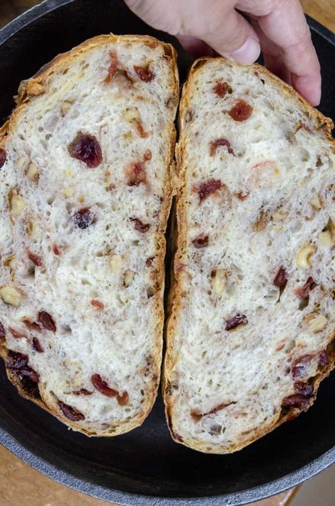 Cranberry Walnut Bread Sandwich, Bread For Beginners, Cranberry Walnut Bread, Snickers Salad, Block Stitch, Oven Bread, Knead Bread Recipe, The Cranberries, Breaking Bread