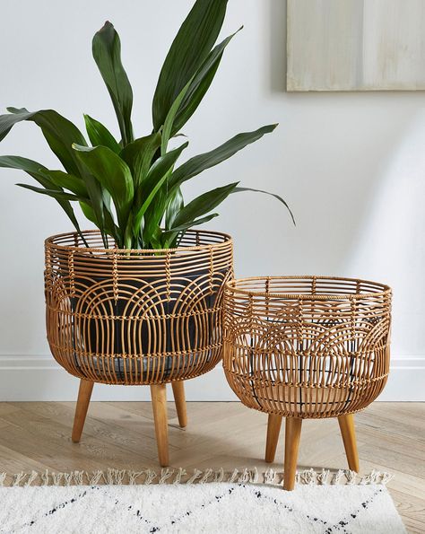 Rattan Planters, Rattan Material, Cane Furniture, Soft Wallpaper, Green Rooms, Store Interior, Spare Room, Jd Williams, Faux Plants