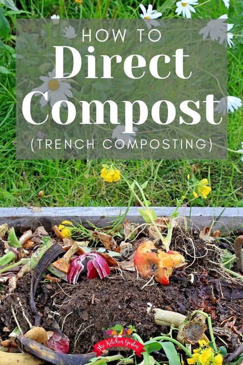 Compost Diy, Composting Tips, Composting Bins, Worm Composting Bin, How To Start Composting, Composting 101, Composting Methods, Compost Pile, Composting Process