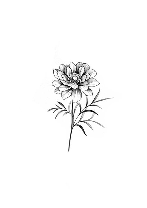 Line Peony Tattoo, Fine Line Peony, Fine Line Peony Tattoo, Peony Tattoo, Tattoo Apprenticeship, Tattoo Culture, Flower Tattoo Drawings, Nature Iphone Wallpaper, Peonies Tattoo