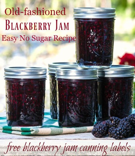 Easy blackberry jam canning recipe, no sugar and free canning labels Easy Blackberry Jam, Low Sugar Jam Recipes, Blackberry Jam Recipe, Melissa K Norris, Homemade Blackberry Jam, Blackberry Jam Recipes, Canning Jam Recipes, Sugar Free Jam, Canning Jam