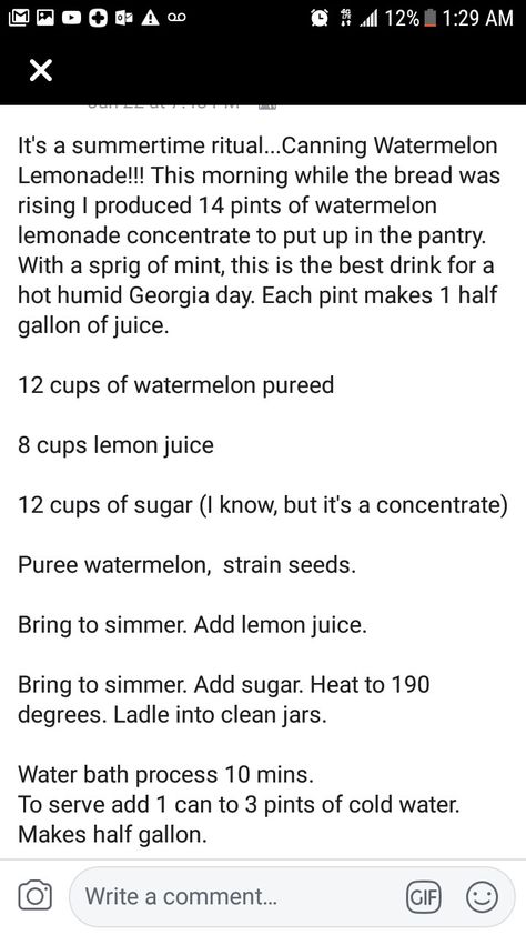 Watermelon Lemonade Concentrate, Strawberry Lemonade Concentrate, Melon Recipes, Canning Ideas, Home Canning Recipes, Lemonade Concentrate, Watermelon Lemonade, Home Canning, Family Plan