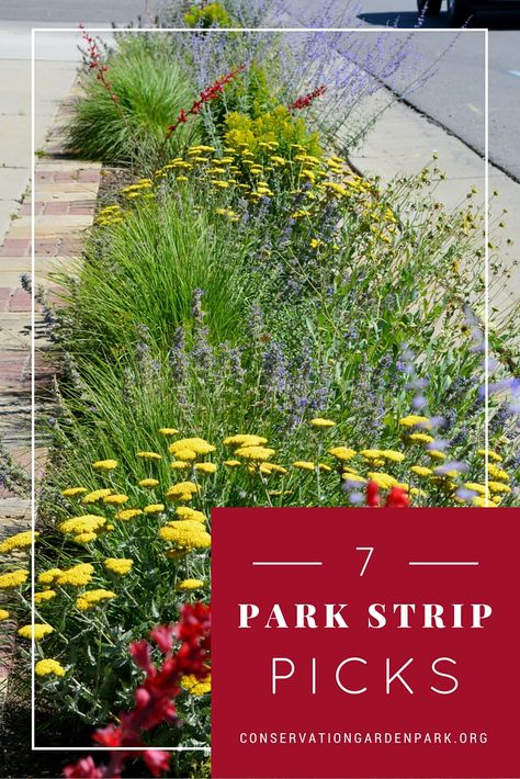 flip-your-strip Drought Tolerant Landscape Front Yard, Sidewalk Landscaping, California Landscaping, Waterwise Landscaping, Xeriscape Landscaping, Landscape Park, Water Wise Landscaping, Drought Tolerant Landscape, Rock Garden Landscaping