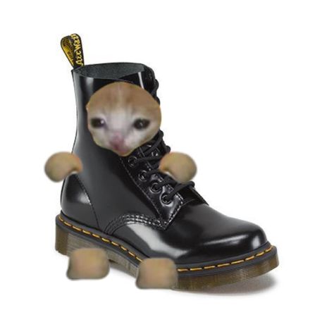 Food Cat, Doc Marten, Silly Cats Pictures, Cat Items, Cat Icon, Stray Cat, Cat Costumes, Silly Cats, Happy Cat