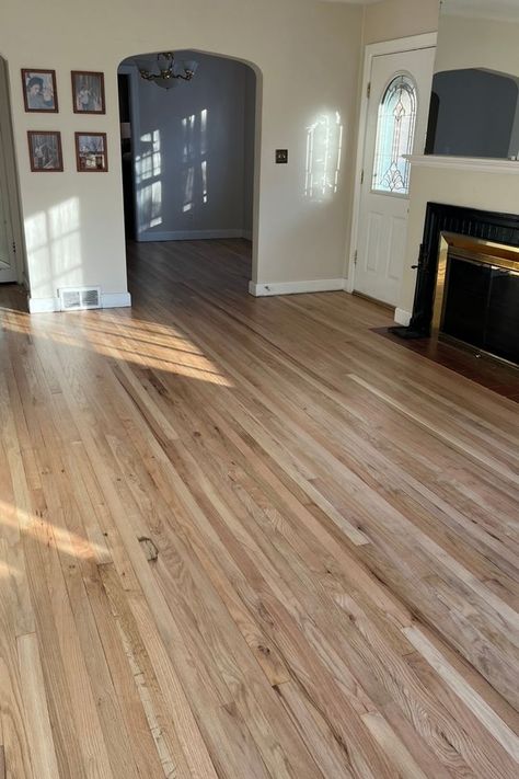 Dark Gray Carpet, Refinish Hardwood Floors, Hardwood Floor Stain Colors, Original Hardwood Floors, Oak Floor Stains, Staining Wood Floors, Wood Floor Stain Colors, Diy Hardwood Floors, Natural Oak Flooring