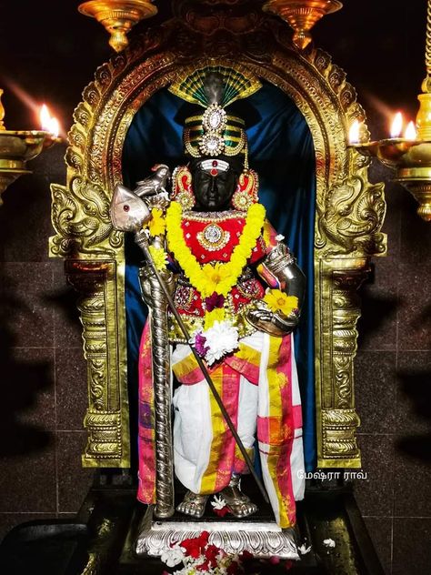 Subramanyam Swamy Photos, Murugar Statues, Palani Murugan Hd Wallpaper, Subramanyam Swamy, Murugan Pictures, Lord Palani Murugan Hd Wallpaper, Lord Murugan Hd Wallpaper 4k, Lord Venkateswara Images Full Hd Wallpaper, Murugan Images