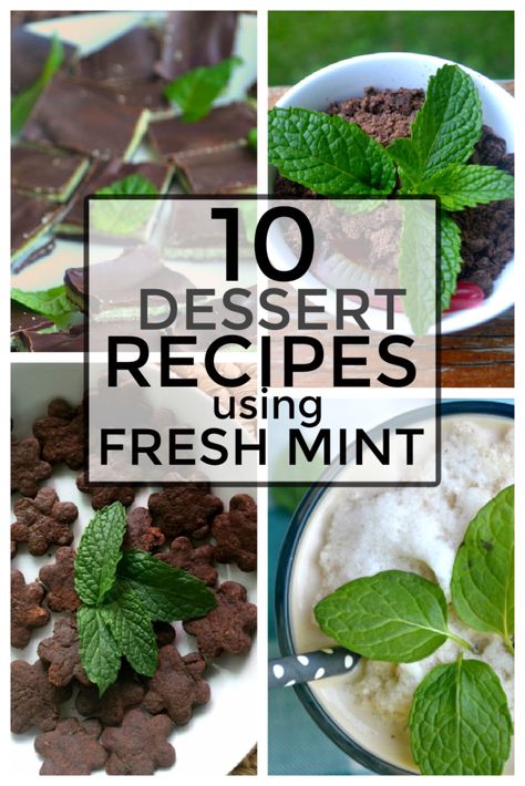 Mint Desserts Easy, Fresh Mint Desserts, Fresh Peppermint Uses, Things To Make With Mint Leaves, Peppermint Recipes Fresh, Fresh Mint Recipes Dessert, What To Do With Mint Leaves, Fresh Peppermint Recipes, Recipes With Fresh Mint