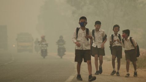 Pollution near equator has biggest impact on global ozone levels, study finds Findings show effects of rapid industralization in South and Southeast Asia Home Remedies For Bronchitis, Mary Robinson, Dirty Air, Air Pollution, Developing Country, Ancient Civilizations, Health Problems, Southeast Asia, Pollution