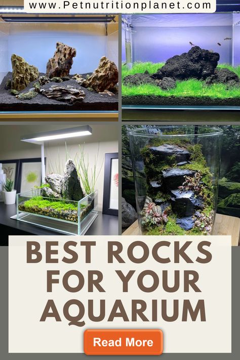 Rock Aquarium Ideas, Aquarium Stones Decoration, Aquascape Design Rocks, Fish Tank Set Up Ideas, Aquarium Ideas Decoration, Fish Tank Ideas Decorations, Aquarium Rockscape, Aquarium Decor Ideas, Decorated Pies