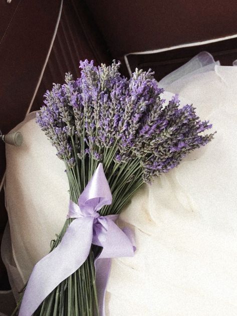 Lavender Marriage, Aesthetic Lavender, Diana Barry, Lavender And Lemon, Lavender Aesthetic, Baby S Breath, Flower Therapy, Soft Purple, Grow Together