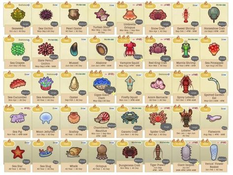 Sea Creatures Animal Crossing, Animal Crossing Fish, Fish List, Creature Marine, Tom Nook, Animal Crossing 3ds, Animal Crossing Guide, Animal Crossing Wild World, Deep Sea Creatures