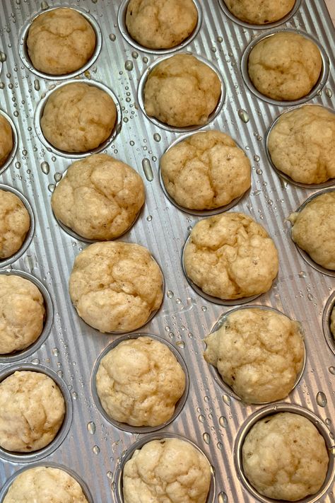 These cottage cheese mini muffins are the perfect little snack or meal for babies and toddlers. Higher protein and have fiber! Cottage Cheese Pancake Muffins, Cottage Cheese Mini Muffins, Healthy Mini Muffins For Toddlers, Mini Muffins For Babies, Mini Healthy Muffins, High Calorie Toddler Snacks, High Protein Mini Muffins, Yummytoddlerfood Muffins, Cottage Cheese For Babies