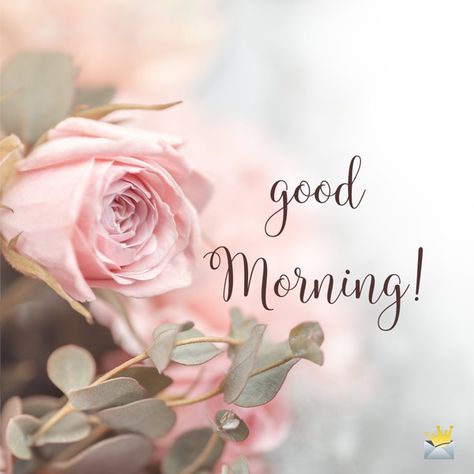 Frühling Wallpaper, Latest Good Morning Images, Good Morning Tuesday, Morning Quotes For Him, Good Morning Roses, Good Morning Wallpaper, Good Morning Cards, Good Morning Images Flowers, Good Morning Photos