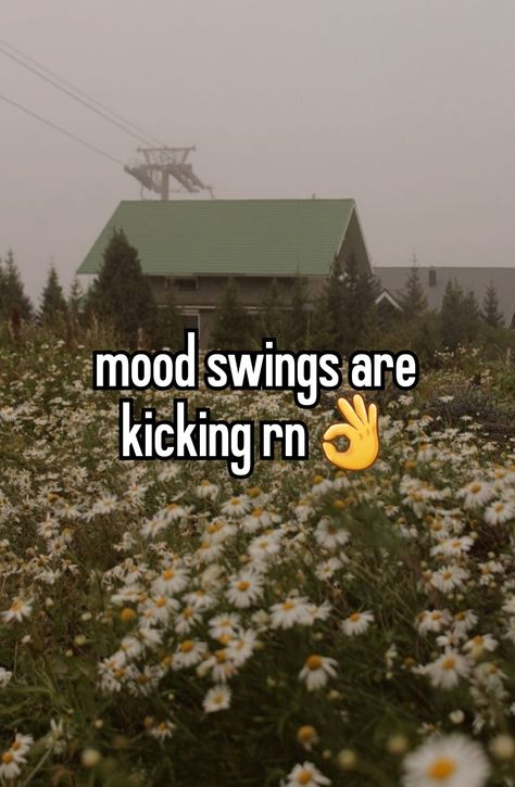 #whisper (3/03/24) Mood Swings Quotes Period, Period Mood Swings Funny, Periods Mood Swings, Mood Swings Funny, Mood Swing Quotes, Period Mood Swings, Funny Relatable Quotes, Mood Swings, Dear Diary