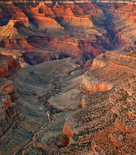 Grand Canyon Village, Bright Angel Trail, Arizona Hiking, The Grand Canyon, Grand Canyon National Park, Best Hikes, Zion National Park, In The Desert, The Desert