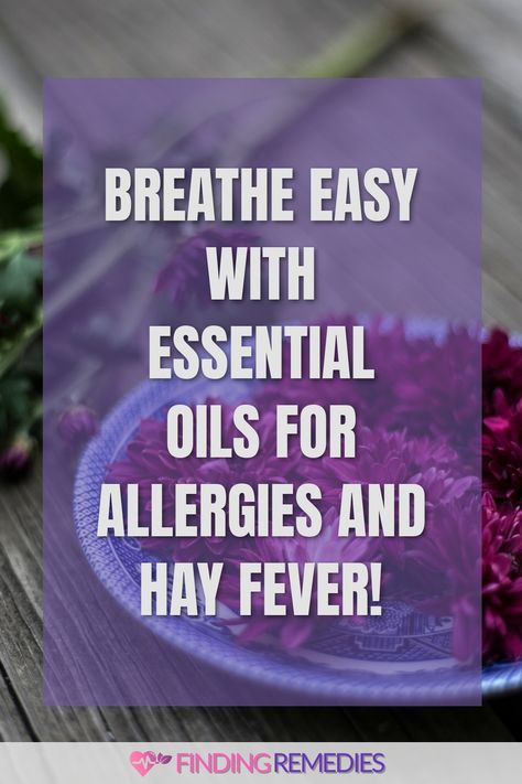 Breathe Easy with Essential Oils for Allergies and Hay Fever! Cedar Fever Remedies, Essential Oils For Allergies, Oils For Allergies, Hayfever Remedies, Seasonal Allergy Relief, Relieve Sinus Congestion, Essential Oils Allergies, Seasonal Allergy Symptoms, Sinus Allergies