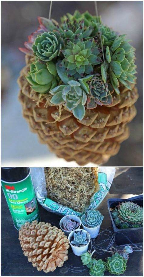 Pinecone Crafts Christmas, Diy Succulent Terrarium, Pinecone Crafts, Unique Garden Art, Pine Cone Art, Diy Pinecone, Plant Crafts, Succulent Garden Diy, Succulent Wreath