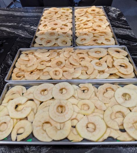 Dry Apples, Freeze Dried Food Storage, Freeze Dried Vegetables, Harvest Right Freeze Dryer, Best Freeze Dried Food, Freezing Eggs, Freezing Apples, Bartlett Pears, Dry Coconut