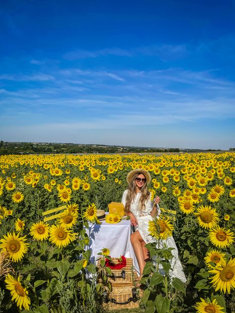 Sunflower field outfit ideas Sunflower Field Outfit Ideas, Field Outfit Ideas, Sunflower Field Outfit, Field Outfit, Sunflower Field, Sunflower Fields, Sunflower, Outfit Ideas, Quick Saves