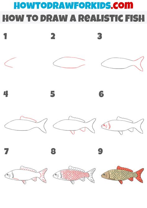 how to draw a realistic fish step by step How To Draw A Fish Step By Step, How To Draw A Fish, Draw A Fish Easy, Drawing Underwater, How To Draw Fish, Under The Sea Drawings, Easy Fish Drawing, Draw A Fish, Sea Embroidery