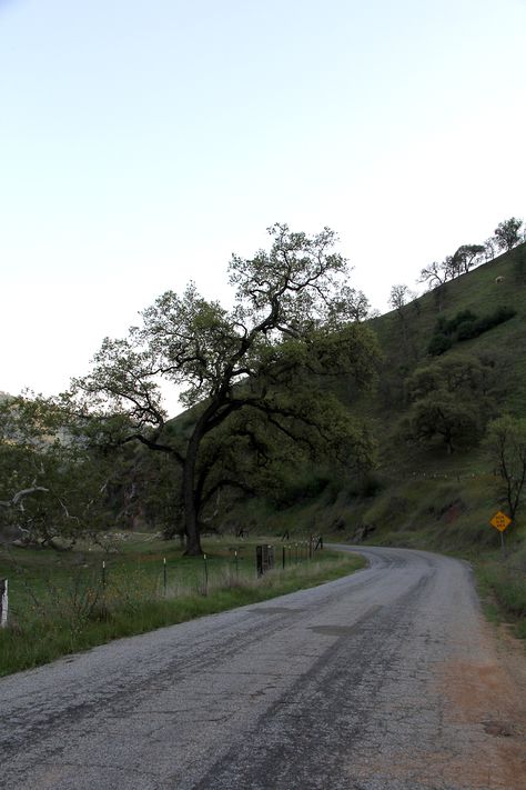 Norther California, Lemon Cove - Beautiful rural road through horse & cow country near the Giant Secoyas Rural California, California Countryside, Tulare County, California Aesthetic, Central Valley, Plant Life, Family History, Hobbies, Cow