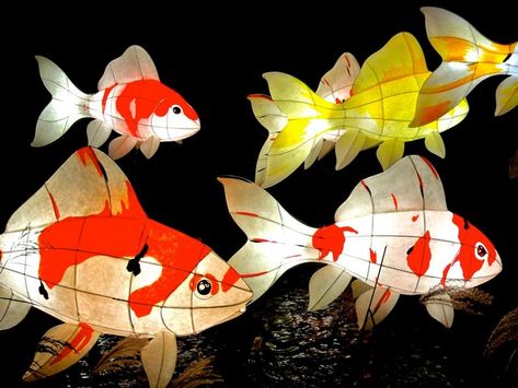 Korean Lantern, Karp Koi, Fish Lanterns, Fish Lamp, Paper Fish, Lantern Ideas, Folding Origami, Lantern Festival, Fish Sculpture