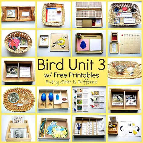 Every Star Is Different: Bird Unit 3 w/ Free Printables Bird Nest Craft, Birds For Kids, Montessori Science, Preschool Science Activities, Montessori Ideas, Spring Preschool, Printables Free Kids, Montessori Education, Montessori Classroom