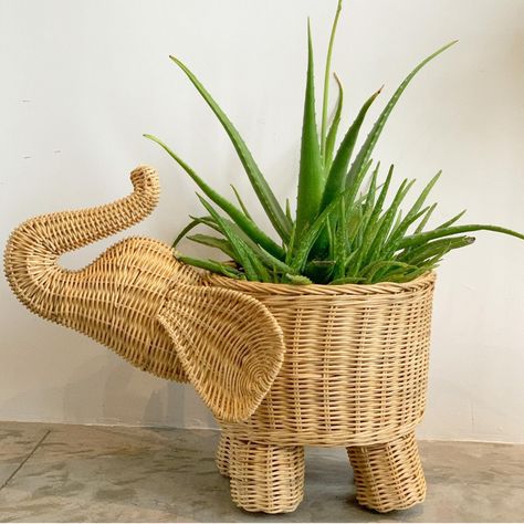 Bringing a touch of nature into every corner 🌿 Grey Wicker Baskets, Hanging Wicker Baskets, Wicker Easter Basket, Elephant Basket, Rattan Vase, Newspaper Crafts Diy, Giraffe Decor, Basket Weaving Diy, Planter Garden