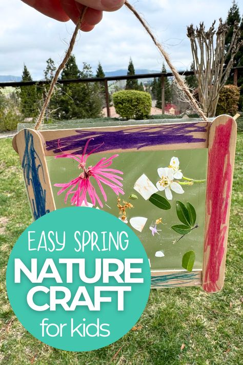 What's an easy spring craft for preschoolers? Kids will love making these simple nature suncatchers! Not only are they fun and colorful, but this is a great activity to help kids build their fine motor skills. Spring Nature Crafts Preschool, Nature Suncatcher, Spring Preschool Activities, Hungry Caterpillar Activities, Spring Crafts Preschool, Spring Flower Crafts, Craft For Preschoolers, Storytime Crafts, Spring Picnic