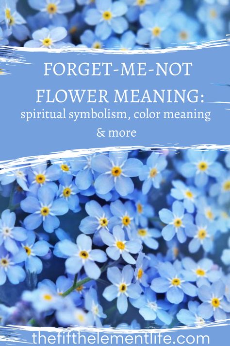 Forget-Me-Not Flower Meaning Flowers That Symbolize Love, Flowers And Their Symbolism, Flower For Strength, Forget Me Knot Flowers, Forget Me Not Symbolism, Forget Me Not Flower Meaning, Forget Me Not Meaning, Forget Me Not Quotes, Forget Me Knots