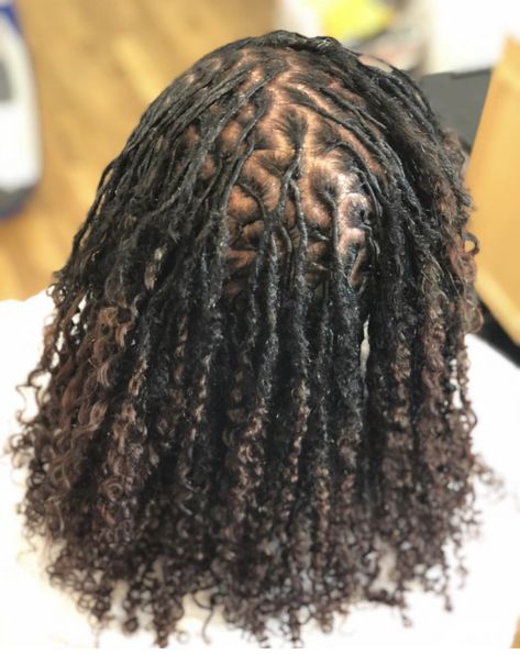 Goddess Starter Locs, Starter Locs Free Parts, Comb Coil Starter Locs Black Women, Goddess Loc Extensions Permanent, Dyed Starter Locs, Starter Locs With Curly Ends, Starter Loc Sizes, Natural Locs With Curly Ends, Locs Starter